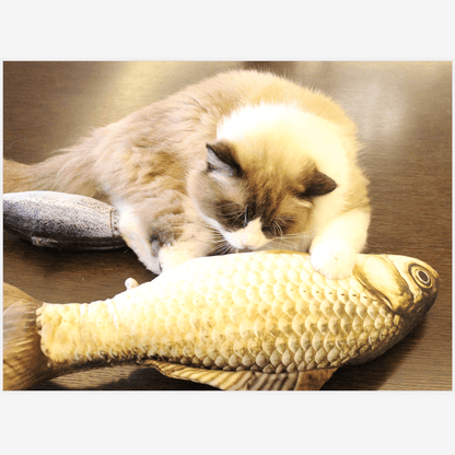 Pet Soft Plush 3D Fish Shape Cat Toy Interactive Gifts - Plushies