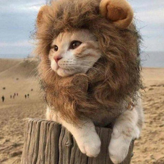 Hilarious and Funny Cat Lion Mane Plush - Plushies