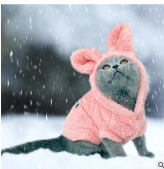 Plush Kitty Fab Wear - Plushies