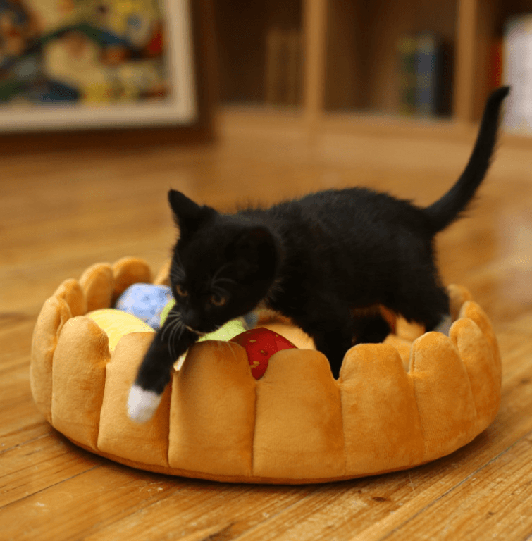 Funny Fruit Tart Cat Pet Dog Bed, Kennel - Plushies