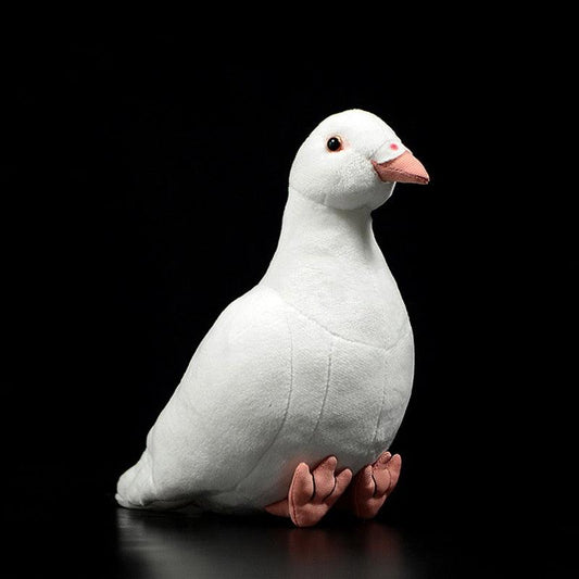 Realistic Wild Pigeon Plush Toys - Plushies