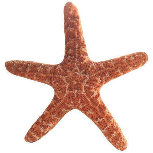 Simulation Plush Toy Starfish - Plushies