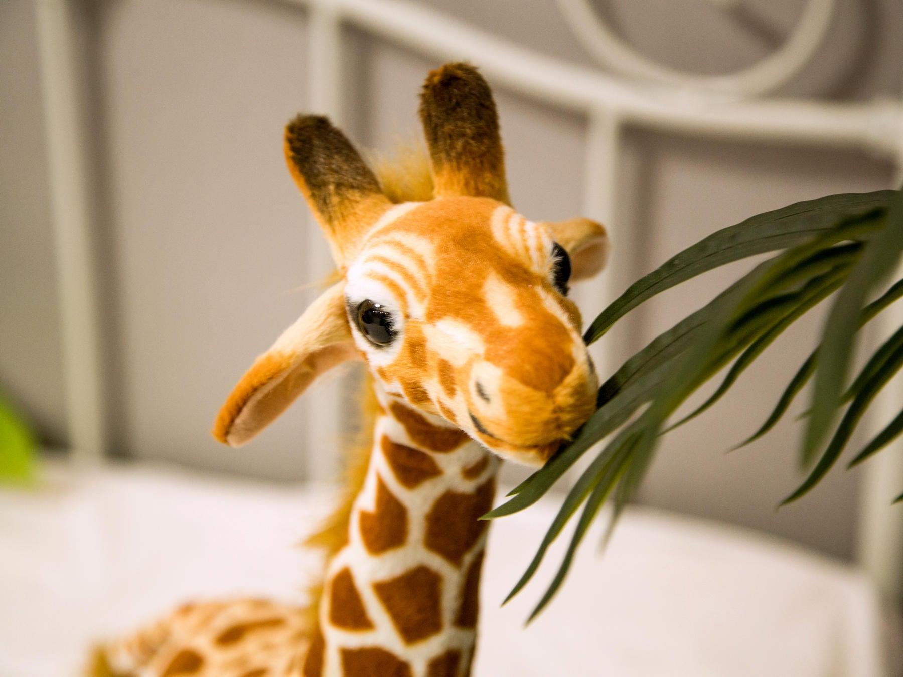 14" - 21" Cute Real Life Giraffe Plush Toys for Children - Plushies