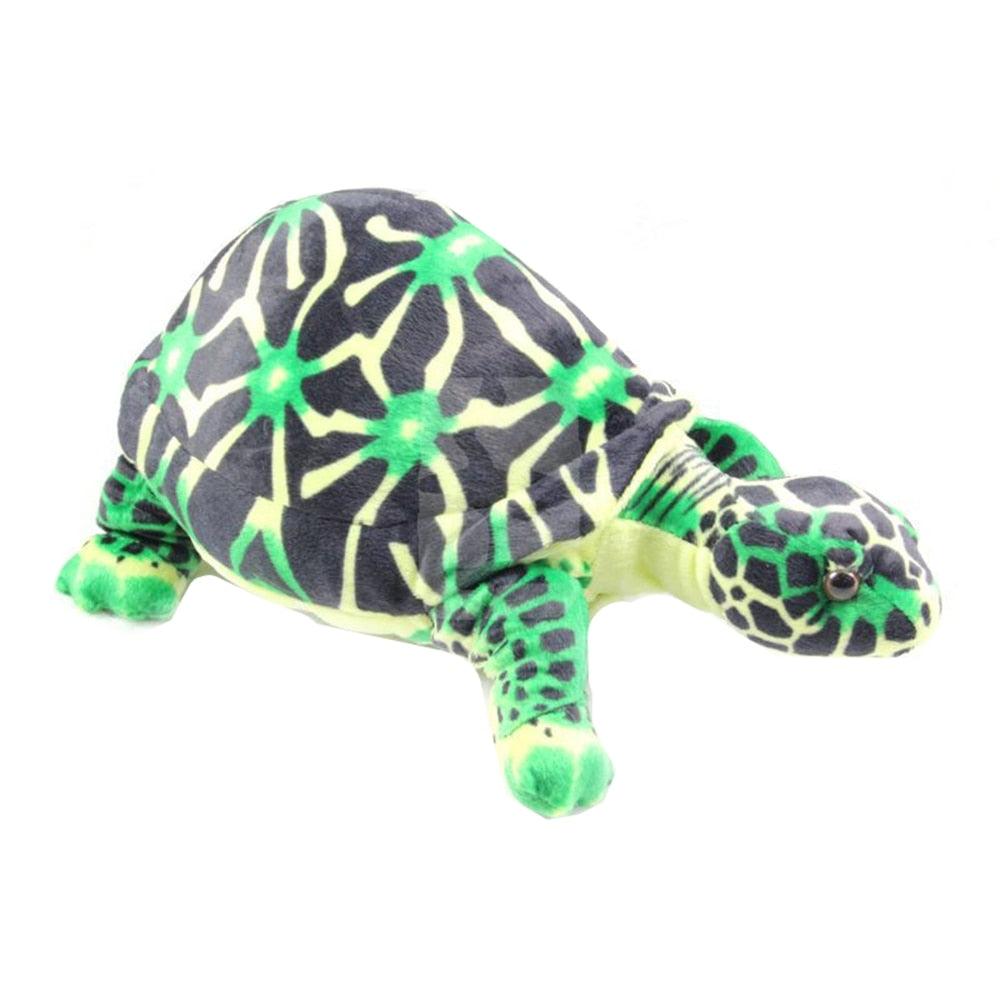 Plush Tortoise Stuffed Animals - Plushies