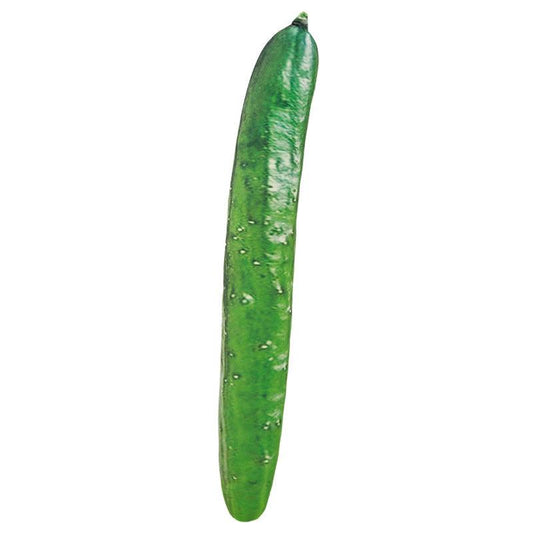 Funny Realistic Cucumber Vegetable Plush Toy - Plushies
