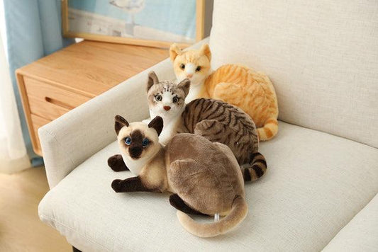 American Shorthair and Siamese Cat Plush Toys - Plushies