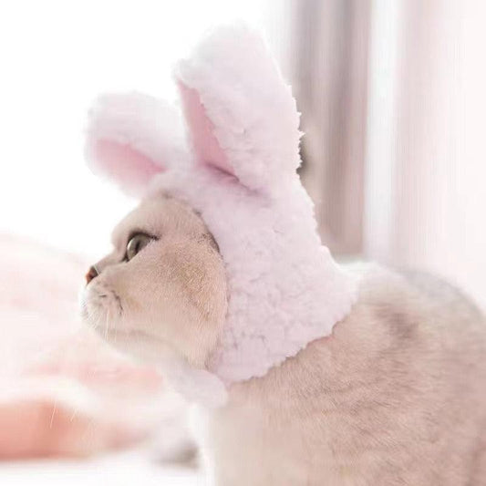 Cute Cat Bunny Ears - Plushies